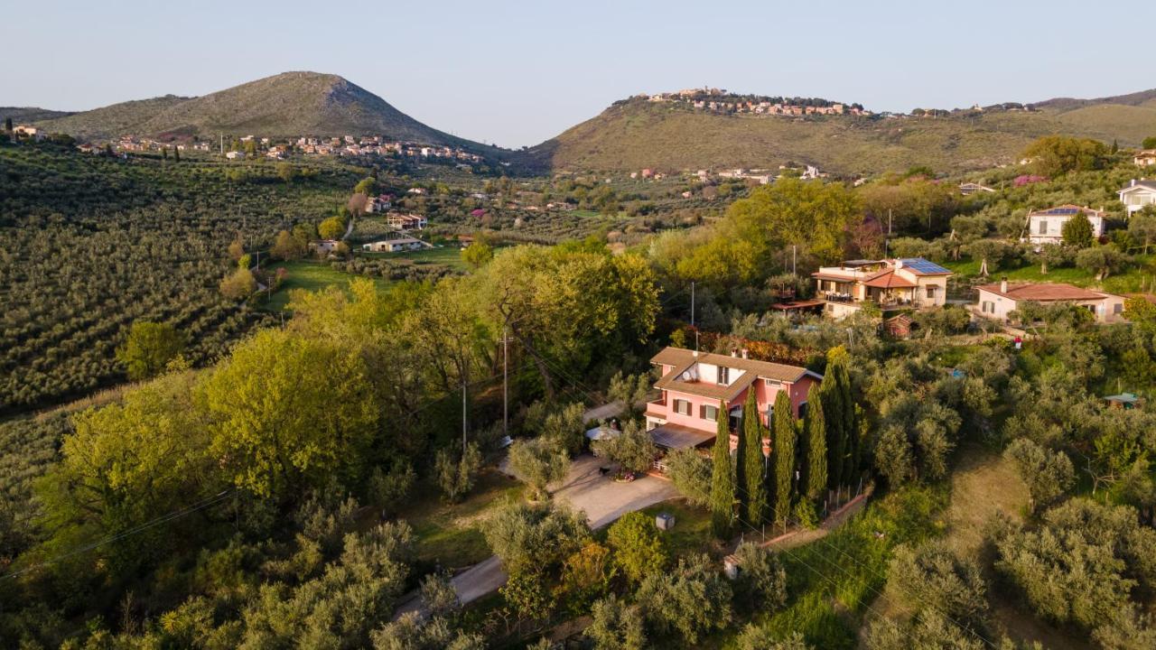 La Tana Delle Stelle B&B Di Charme E Relax Fara in Sabina Екстериор снимка