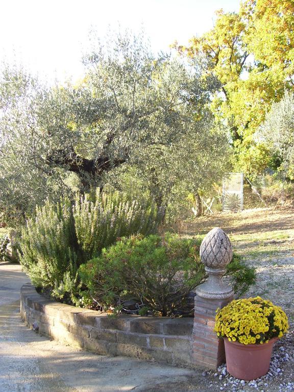 La Tana Delle Stelle B&B Di Charme E Relax Fara in Sabina Екстериор снимка
